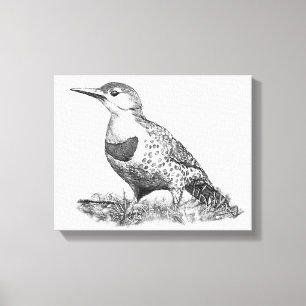 Female Northern Flicker Canvas Print