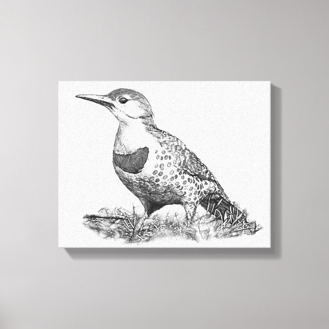 Female Northern Flicker Canvas Print (Front)