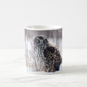 Female Northern Harrier Coffee Mug