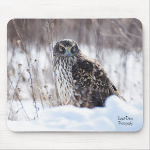 Female Northern Harrier Mouse Pad