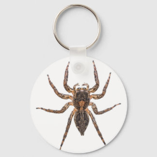 Female Pantropical Jumping Spider Keychain