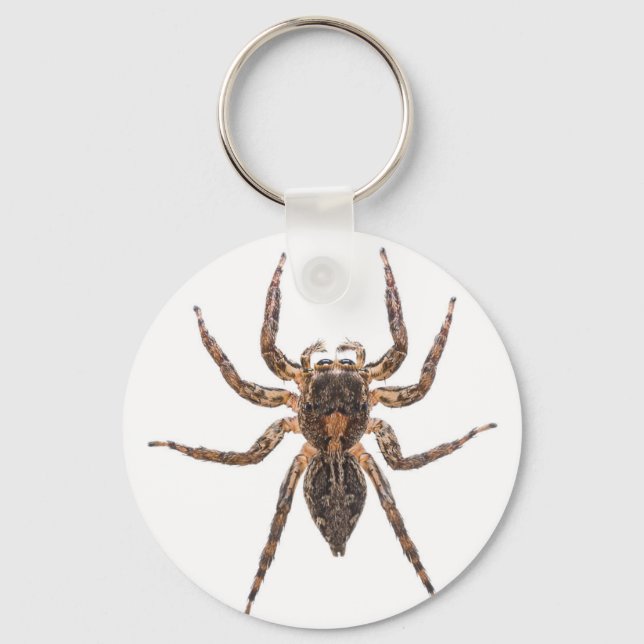 Female Pantropical Jumping Spider Keychain (Front)