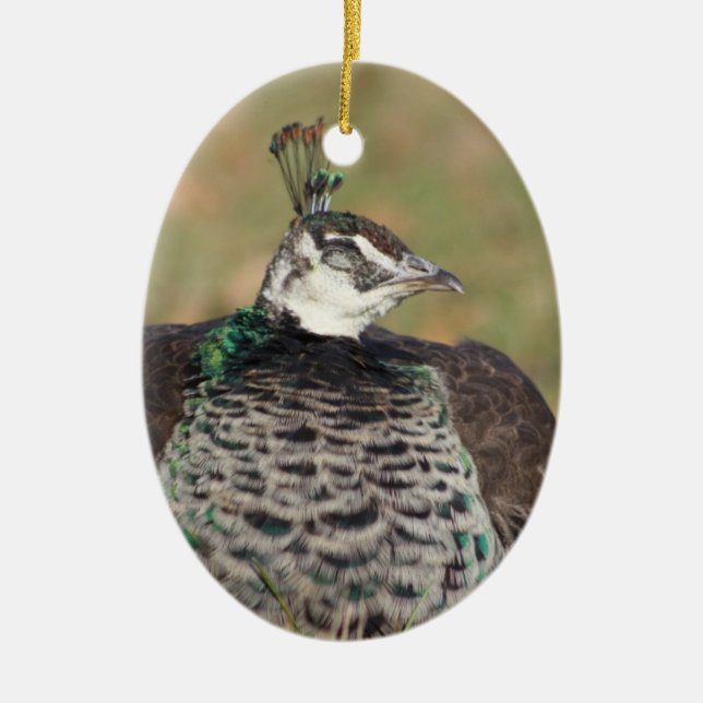 Female Peacock ornament (Front)