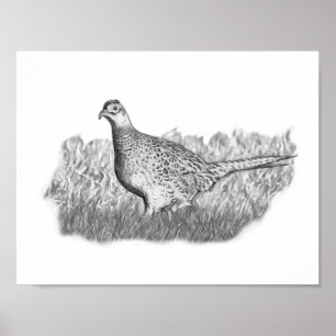 Female Pheasant Poster