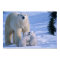 Female Polar Bear Standing with 2 Cubs