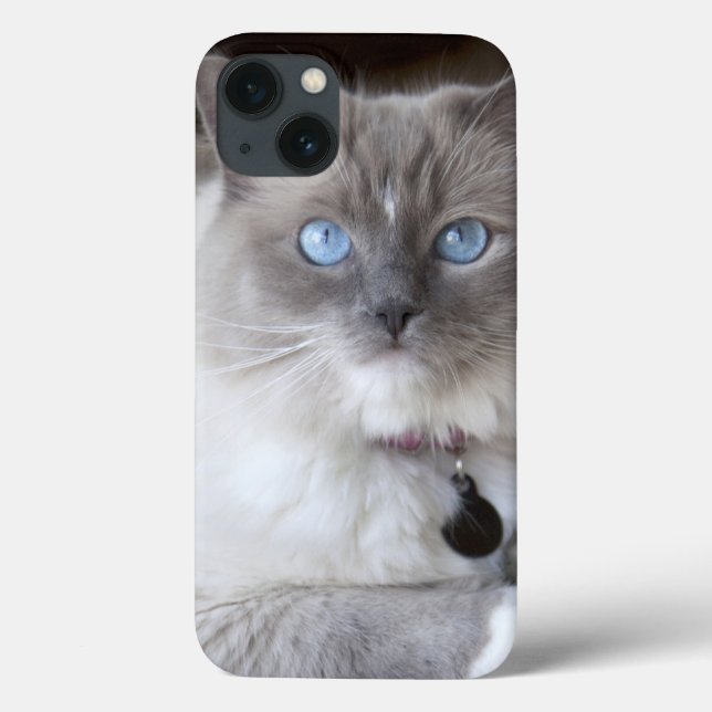 Female Ragdoll Cat Case-Mate iPhone Case (Back)