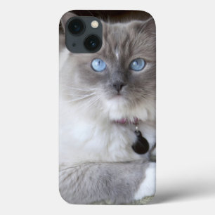 Female Ragdoll Cat iPhone 13 Case