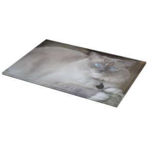 Female Ragdoll Cat Cutting Board