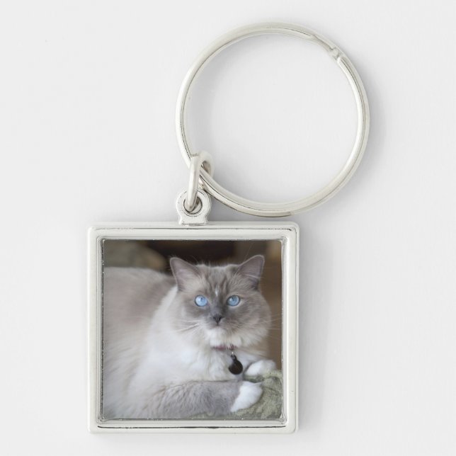Female Ragdoll Cat Keychain (Front)