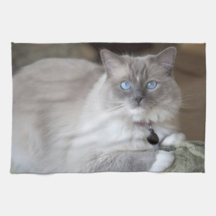 Female Ragdoll Cat Kitchen Towel