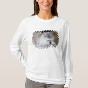 Female Ragdoll Cat T-Shirt