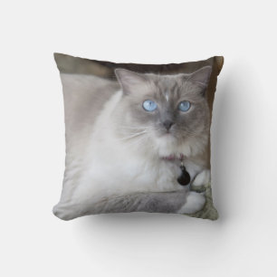 Female Ragdoll Cat Throw Pillow