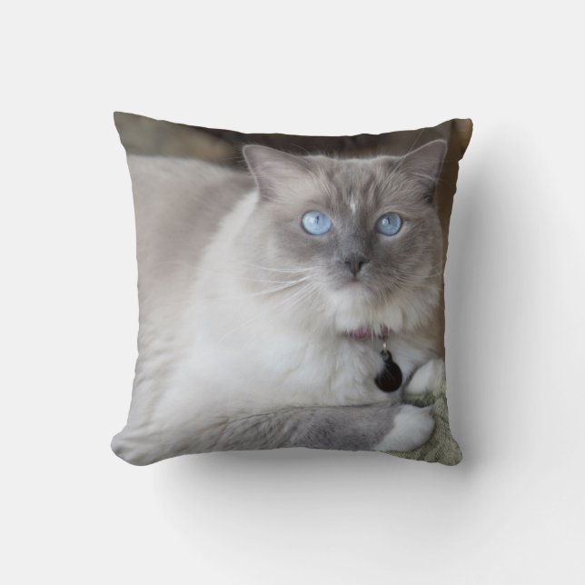 Female Ragdoll Cat Throw Pillow (Front)