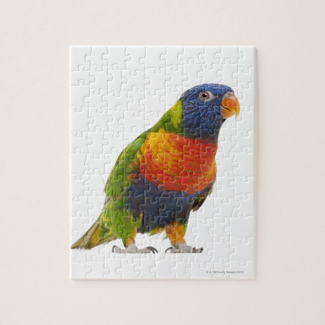 Female Rainbow Lorikeet - Trichoglossus Jigsaw Puzzle (Vertical)