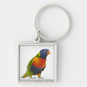 Female Rainbow Lorikeet - Trichoglossus Keychain