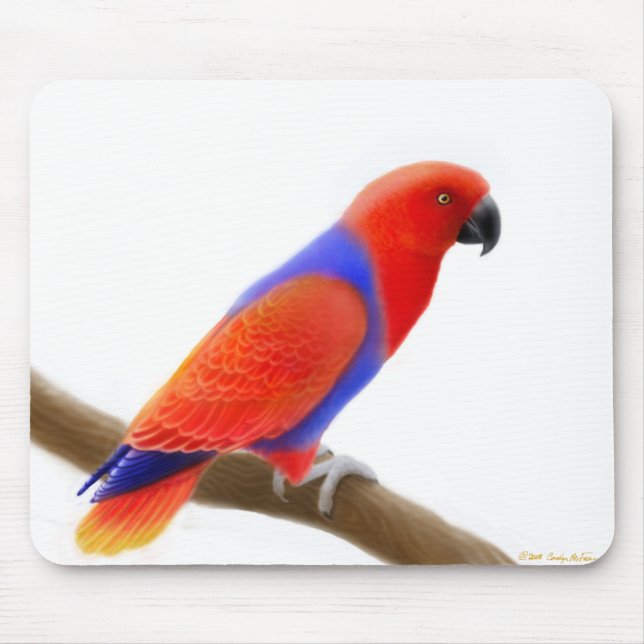 Female Red Eclectus Parrot Mousepad (Front)
