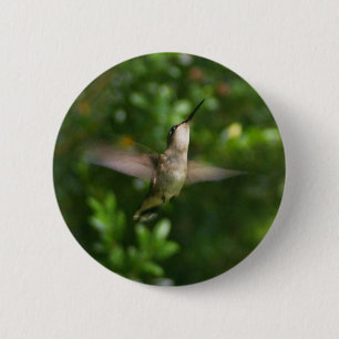 Female Ruby Throat Hummingbird Button