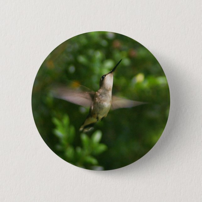 Female Ruby Throat Hummingbird Button (Front)