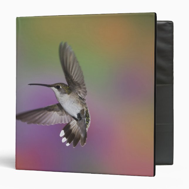 Female Ruby Throated Hummingbird in flight Binder (Front/Inside)