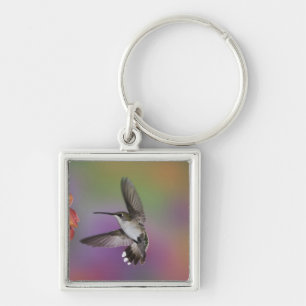 Female Ruby Throated Hummingbird in flight Keychain