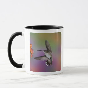 Female Ruby Throated Hummingbird in flight Mug
