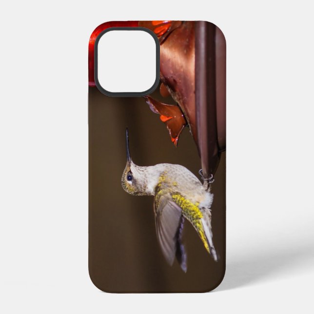 Female Ruby-throated Hummingbird iPhone Case (Back)