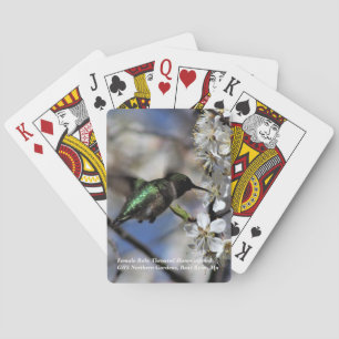 Female Ruby Throated Hummingbird Playing Cards