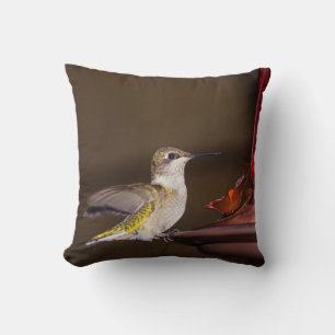 Female Ruby-throated Hummingbird Throw Pillow