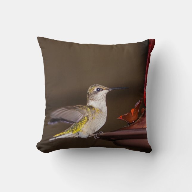 Female Ruby-throated Hummingbird Throw Pillow (Front)