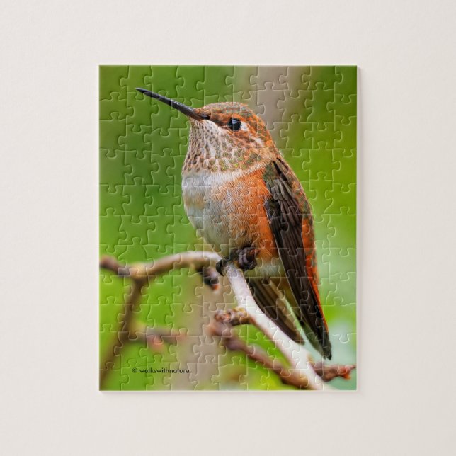 Female Rufous Hummingbird on the Plum Tree Jigsaw Puzzle (Vertical)