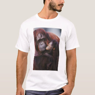Female Sumatran Orangutan with baby, Pongo T-Shirt