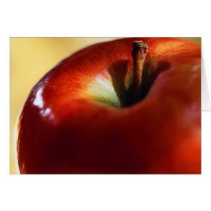 FEMALE SUPREMACY STARTED WITH EVE