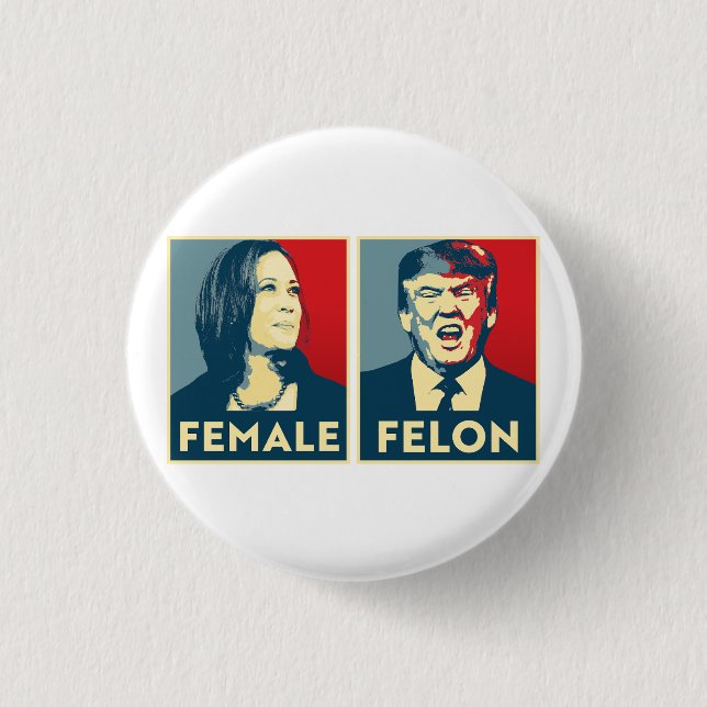 Female vs Felon 1 Inch Round Button (Front)