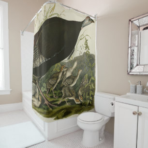 Female Wild Turkey from Audubon's Birds of America