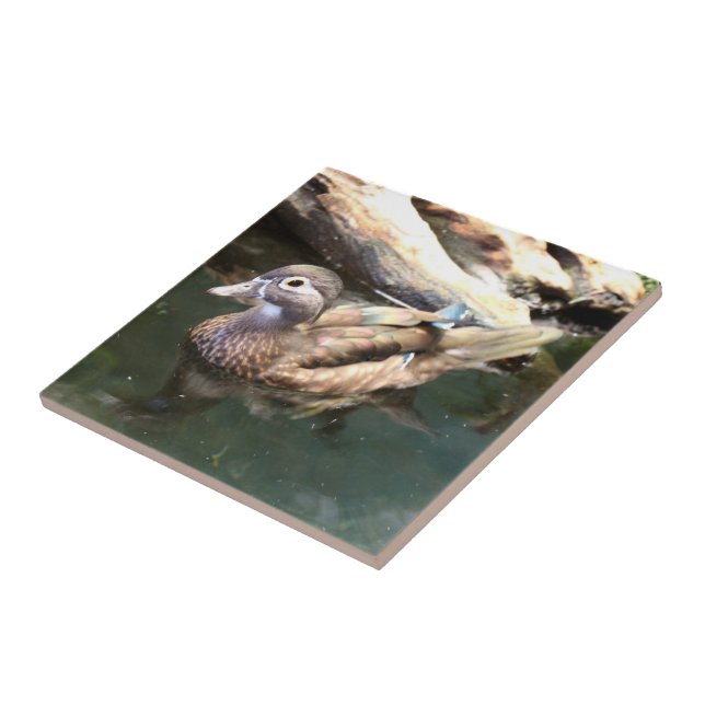 Female Wood Duck Tile (Side)