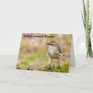 Female Yellow-rumped Warbler Thank You Card