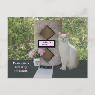 Feminine New Address Postcard