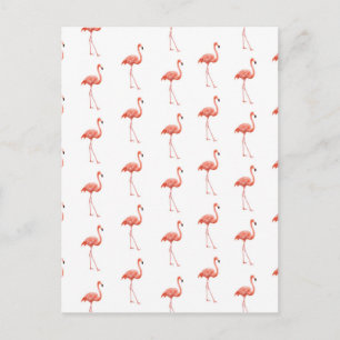 Feminine Pink Flamingo Pattern Postcard