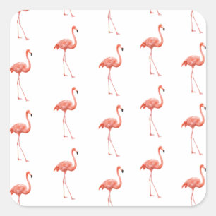 Feminine Pink Flamingo Pattern Square Sticker