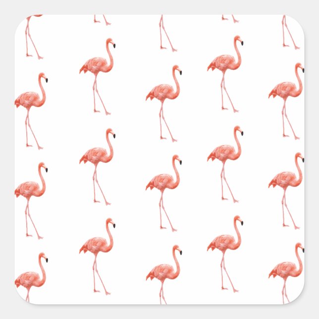 Feminine Pink Flamingo Pattern Square Sticker (Front)