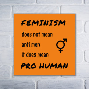 Feminism pro human slogan orange poster