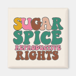 Feminist Fridge Decor Magnet