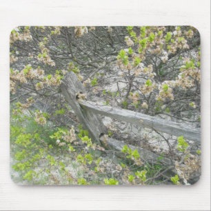 Fence Against Dunes IBSP Mousepad