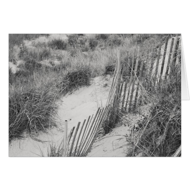 "Fence and Dunes" collection (Front Horizontal)