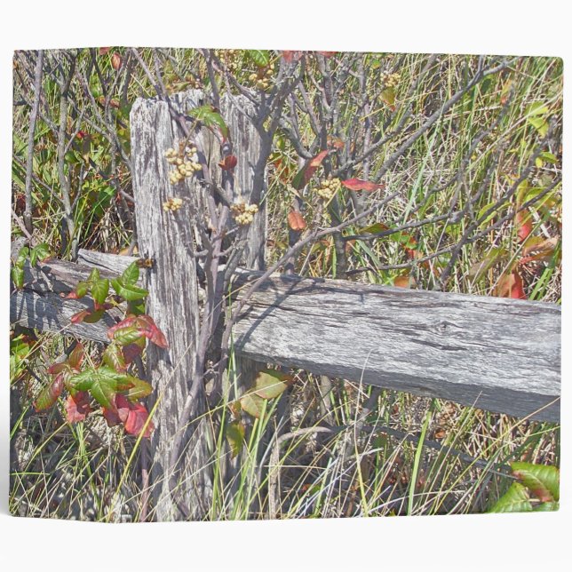Fence & Poison Ivy IBSP Binder (Front/Spine)