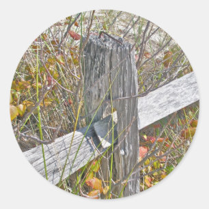 Fence & Poison Ivy IBSP NJ Coordinating Items Classic Round Sticker