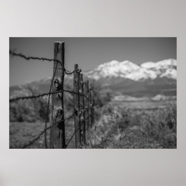 fence poster (Front)