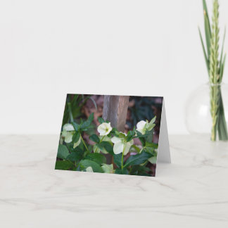 Fence with White Flowers Thank You Card