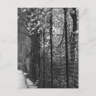 Fenced garden Postcard
