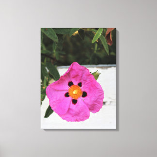 Fenced In Floral Canvas Print
